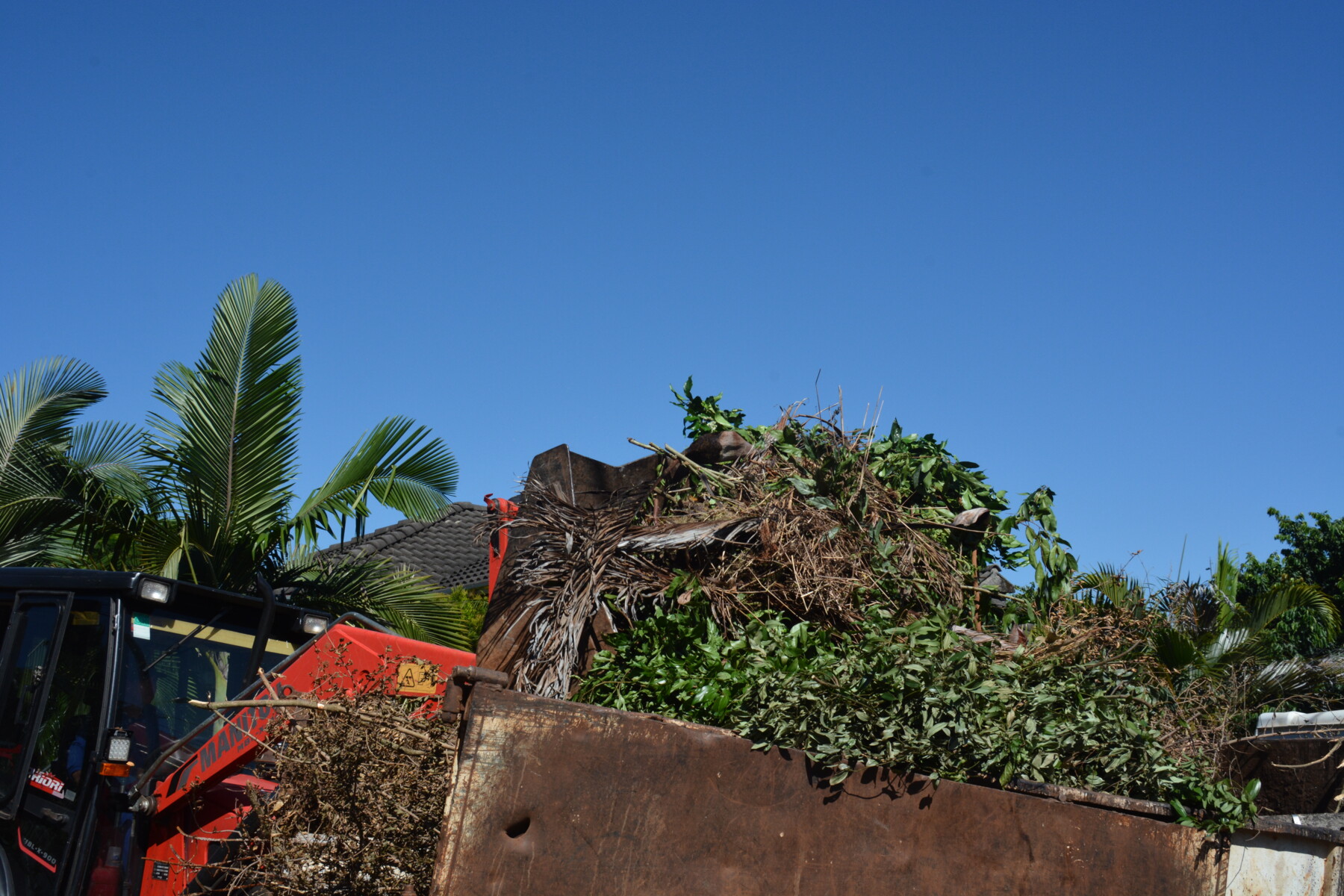 DSC_6691.JPG
