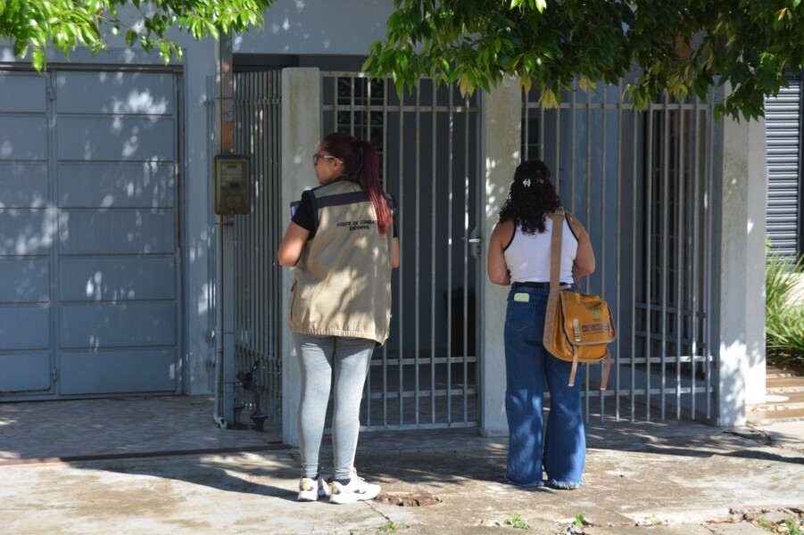 primeiro-liraa-de-2026-aponta-medio-risco-para-dengue-em-frederico-westphalen