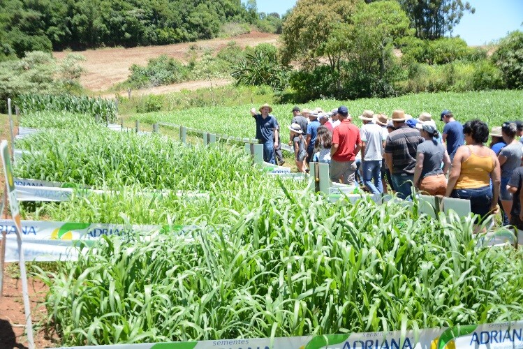 tarde-de-campo-e-realizada-na-linha-ponte-do-pardo