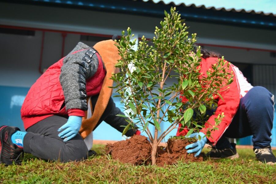 corsan-planta-mudas-de-arvores-nativas-com-estudantes-em-acao-do-mes-do-meio-ambiente
