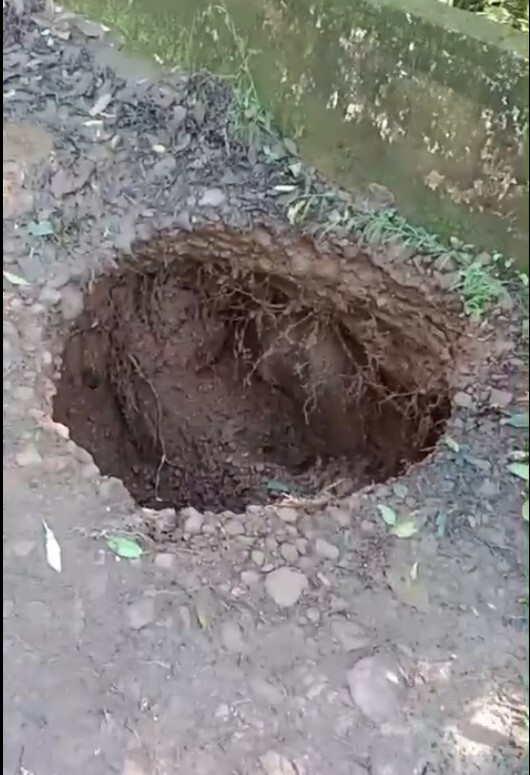 Pardinho ponte.jpg