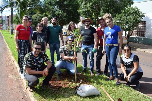 projeto-de-arborizacao-e-iniciado-na-avenida-sao-paulo