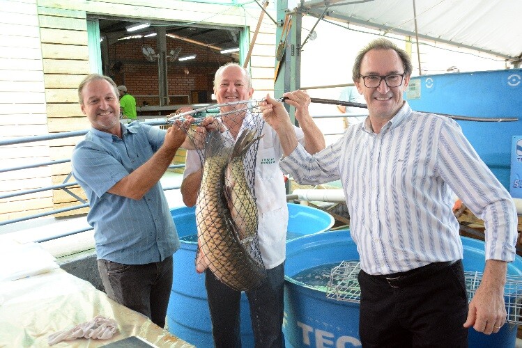 7-edicao-da-feira-do-peixe-e-aberta-oficialmente