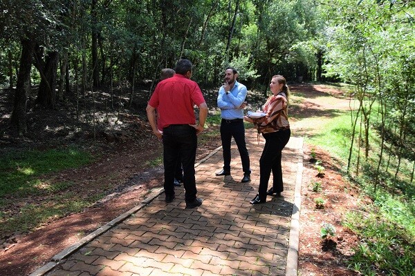 iluminacao-do-parque-da-faguense-cada-vez-mais-proxima