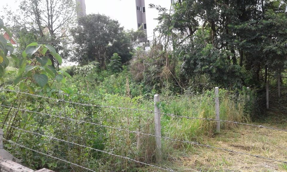 multas-podem-ser-cobradas-por-terrenos-baldios-sem-manutencao