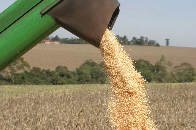 secretaria-da-agricultura-alerta-para-numero-de-sementes-para-a-safrinha