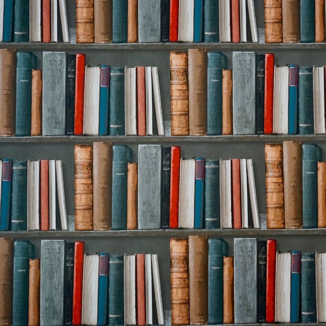 plataforma-elefante-letrado-visa-auxiliar-estudantes-na-leitura-e-escrita