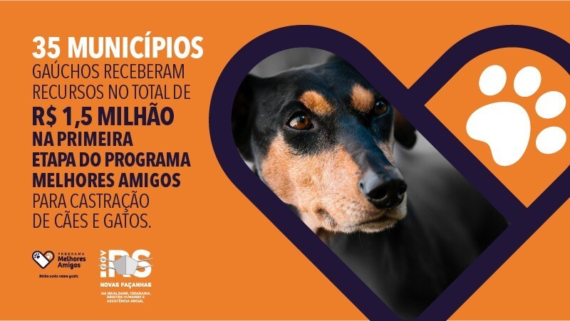 prefeitura-firma-convenio-para-castracao-de-animais-de-rua