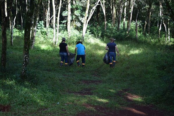310_438.jpg