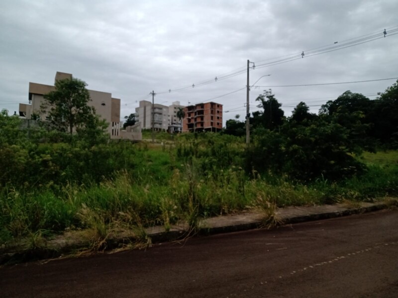 secretaria-municipal-do-meio-ambiente-adverte-sobre-a-limpeza-de-terrenos-baldios