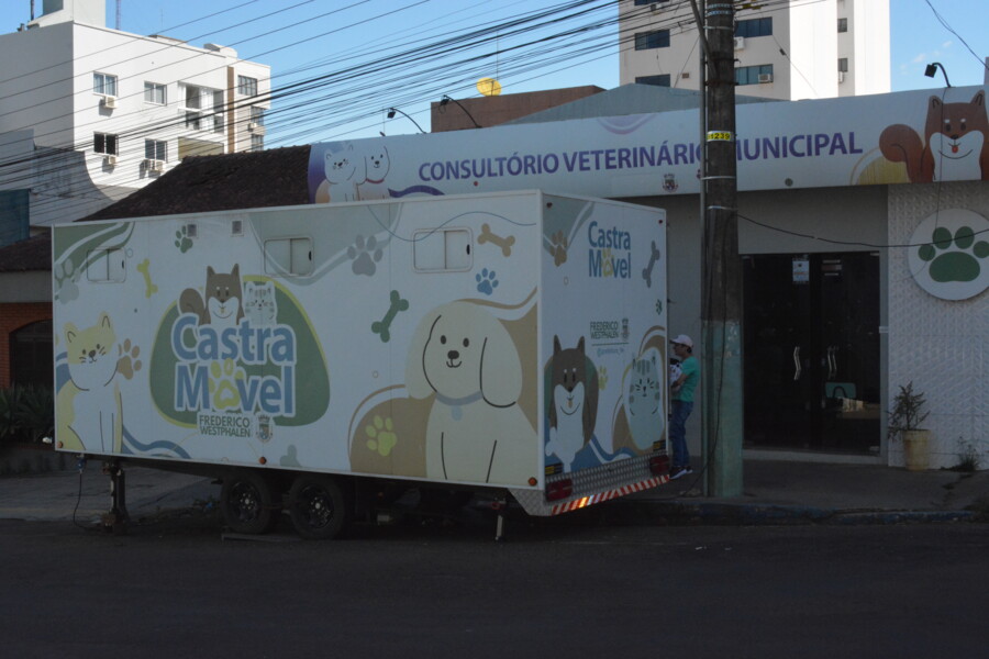 prefeitura-de-frederico-westphalen-retoma-castracoes-e-convoca-tutores-de-animais-cadastrados