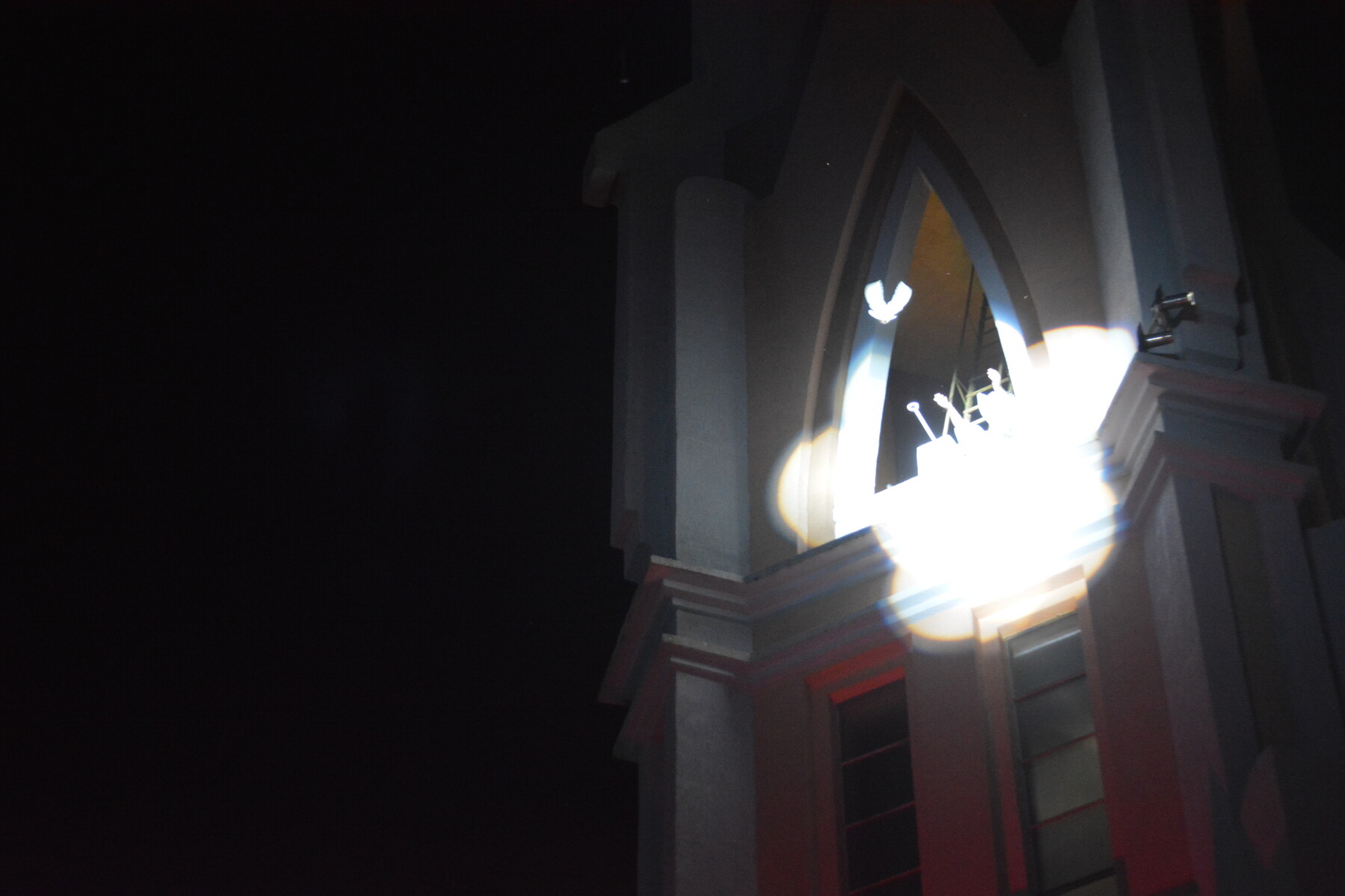 DSC_1700.JPG